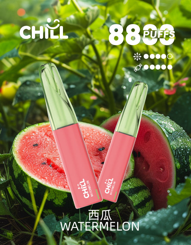 chill始祖鳥電子烟8800口